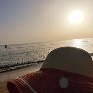 Le Di Grazia Ioppolo Giancaxio